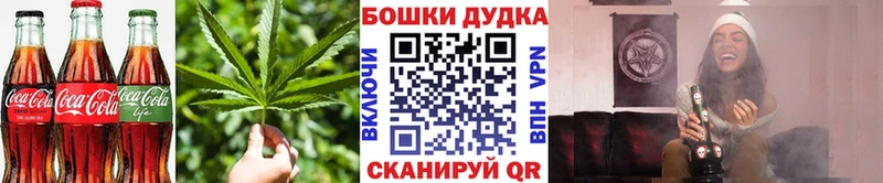 Canna-Cookies марихуана  где найти   Шадринск 