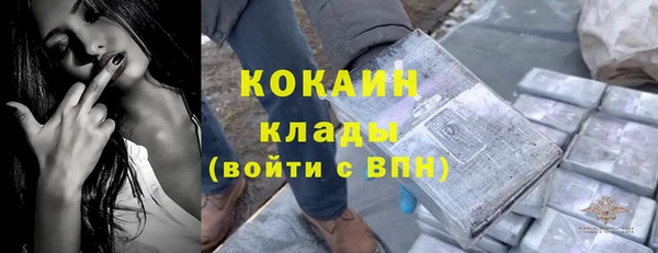 стафф Абинск
