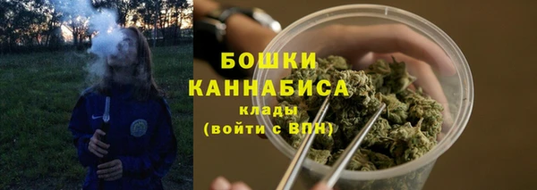 сатива Заволжье