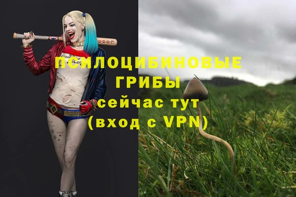 амф Абдулино