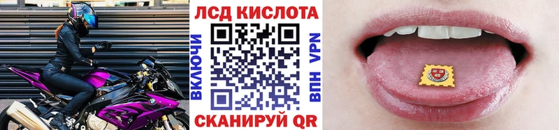 Марки 25I-NBOMe 1,8мг  сайты даркнета какой сайт  Шадринск 
