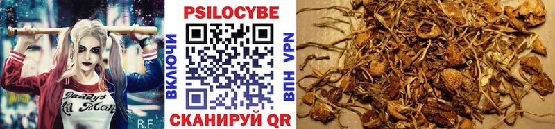Галлюциногенные грибы GOLDEN TEACHER  Шадринск 